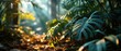 Tropical Jungle Foliage in Sunlight