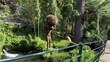 Gartenkunst im Frühling: Skulpturen aus Moos entlang der Passerpromenade in Meran, Südtirol
