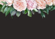 Floral banner, header with copy space. Pink roses, hydrangea isolated on dark background. Natural flowers wallpaper or greeting card.