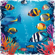 Colorful tropical fish swimming among the coral reefs. Undersea world.