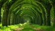 Tunnel-like Avenue of Linden Trees, Tree Lined Footpath through Park AI generated