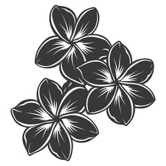Wall Mural - silhouette plumeria flower black color only vector