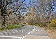 Early spring (start of flowering) in Central Park. New York City