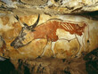 cave paintings from prehistoric humans 