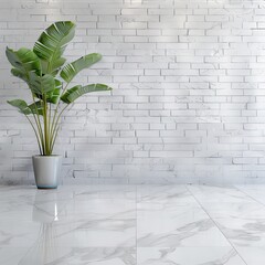 Wall Mural - A potted plant on a white tiled floor