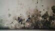 fungal mold spots growing on white room wall