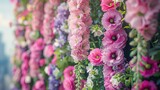 Fototapeta  -   A building adorned with pink and purple flowers, their stems trailing down the side, while green foliage adorns the wall