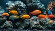 Group of Orange Fish Swimming in Aquarium