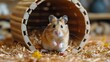 Hamster Running in Hamster Wheel Among Wood Chips