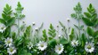   White flowers with green leaves against a pristine white background A simple white wall dividing the scene in the middle