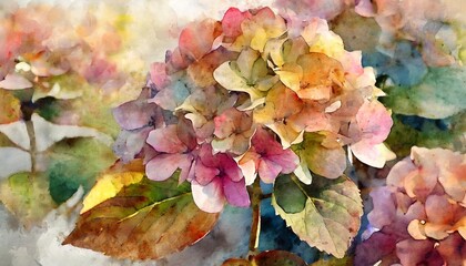 Wall Mural - autumn bud hydrangea colorful watercolor isolated print beautiful illustration for your design