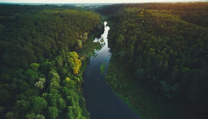 Wall Mural - natural river between the forest aerial high view