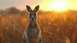 Kangaroo Standing in Tall Grass Field