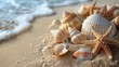 Shells and Starfish on Sandy Beach