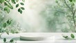 © Bird Visual - background podium product platform for nature beauty cosmetic stage scene. Abstract rock podium pedestal mockup with green leaf shadow. Photography showcase fresh banner.