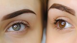 Fototapeta Przestrzenne - Female eyebrows both with and without brow adjustment. Close-up