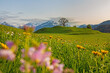 Allgäu - Blumen - Frühling - Berge - Baum - Oberstdorf - Panorama