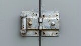 Fototapeta  - We take door hinges for granted, but they are a need for living in our homes. This image shows a silver door hinge and a metal door hinge isolated on a grey background.