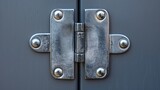 Fototapeta  - We take door hinges for granted, but they are a need for living in our homes. This image shows a silver door hinge and a metal door hinge isolated on a grey background.