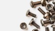 Metal screw heads in top view against a white background. isolated rivets. 
