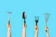 Female hands with gardening rakes and shovel on color background