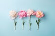 A photograph capturing four lush pink-peach peonies arranged against a soft pastel blue backdrop, presented in a minimalist composition with copy space, all in the style of a flat lay.