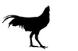 silhouette chicken transparent PNG