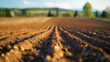 Selective blur on furrows on a Agricultural landscape near a farm,The plough is a technique used in agriculture to fertilize a land.