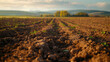Selective blur on furrows on a Agricultural landscape near a farm,The plough is a technique used in agriculture to fertilize a land.
