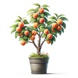 3D apricot fruit potted tree with ultra-realistic leaves white background