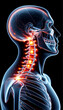 A medical illustration showing a human x-ray with highlighted areas indicating joint pain in the neck point