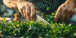 Chef chopping fresh herbs, close-up, bright natural light, sharp knife, vibrant green 