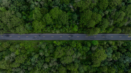 Wall Mural - Aerial view asphalt road and green forest, Forest road going through forest view from above, Ecosystem and ecology healthy environment concept and background, Road in the middle of the forest.