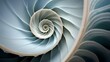 A close-up of a seashell, its spiral pattern and smooth texture hinting at the mysteries of the ocean depths