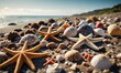 sea landscape, lots of shells, starfish and sea inhabitants