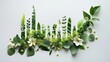 A conceptual green urban skyline crafted from a variety of plants and leaves on a plain background