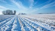 Winter brings a blanket of snow over the once lively fields causing the biofuel crops to go dormant. Their energy conversion slows to a crawl as they wait for warmer temperatures to .