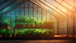 Greenhouse with plants and glass walls