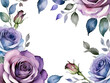 border of violet and blue watercolor roses on a white background,isolated