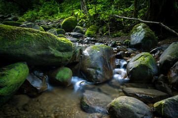 Lovely scene of a river center, beautiful rocks lay down across the river and moss covered on it, in Bengshankeng historical trail, New Taipei City, Taiwan.