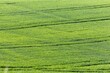 Scenic view of a green field in the countryside on a sunny day