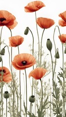 Poster - red poppy flowers against a light white background, with a grey stem and stem like