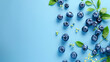 Healthy food, diet, gastronomy, fruits and berries, Harvesting, marketing, fitness concept - layout banner frame closeup of blueberries with inscription summer on plain blue background copy space.