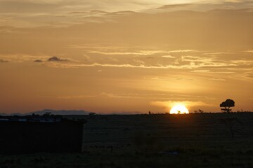 Beautiful landscape of sunrise over Masai Mara national reserve in Kenya.