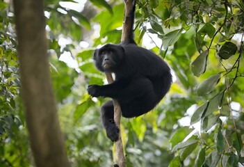 Canvas Print - AI generated illustration of a black monkey perched on a tree in their natural forest habitat