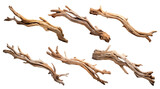 Fototapeta  - Set of driftwoods, cut out