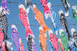 Colorful carp flags during Children's Day in Japan