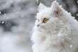 Graceful Angora cat in snow. Fluffy purebred feline in wintertime season. Generate ai