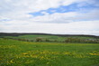 blooming landscape in rural Luxembourg during springtime