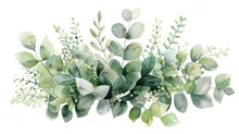 A Watercolor Painting Of A Variety Of Eucalyptus Leaves And Other Greenery.